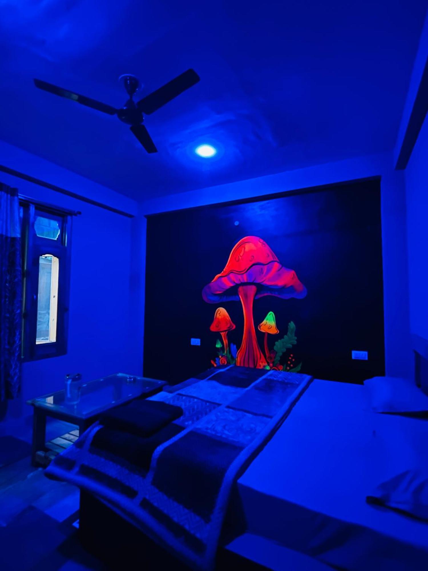 Trippy Homestay 卡索尔 外观 照片